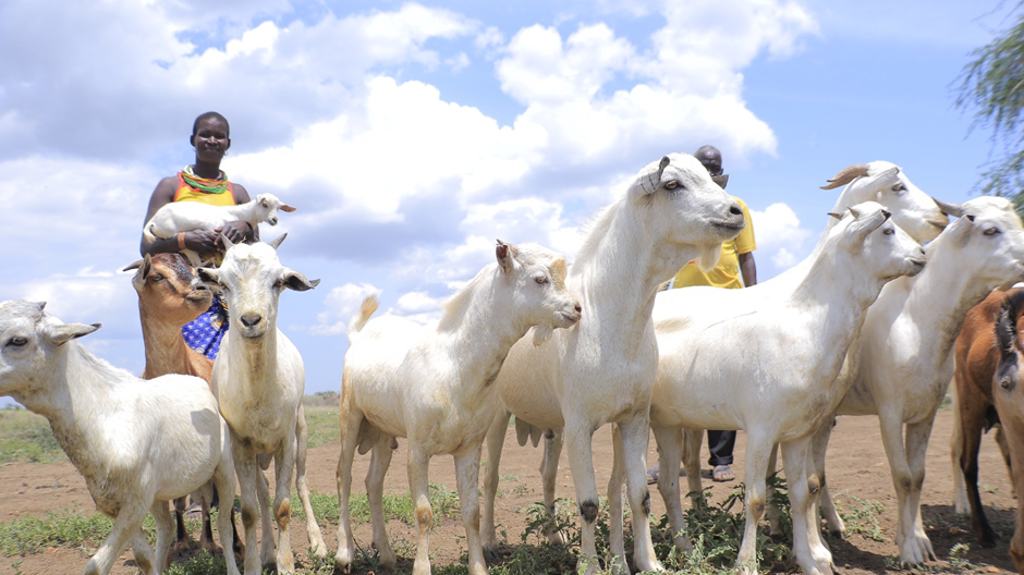 Regina, her husband and their herd of goats
